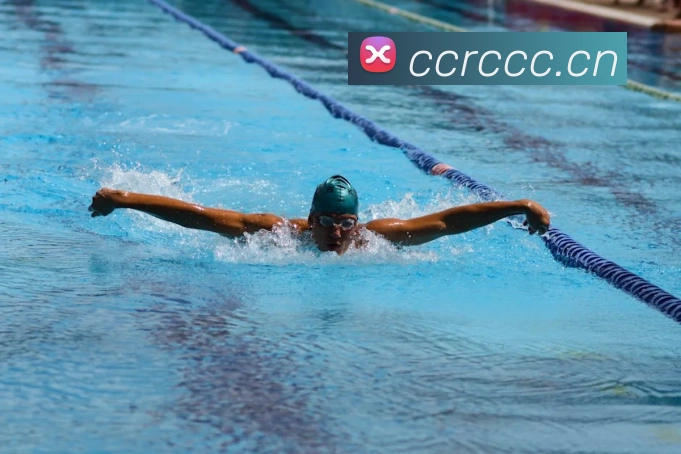 开云网页版登录入口手机版服务体系